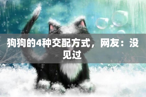 狗狗的4種交配方式，網友：沒見過 