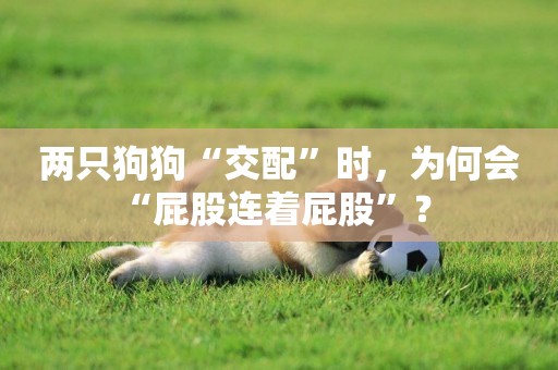 兩只狗狗“交配”時，為何會“屁股連著屁股”？ 
