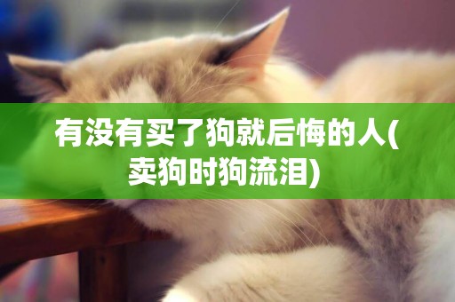 有沒有買了狗就后悔的人(賣狗時狗流淚) 