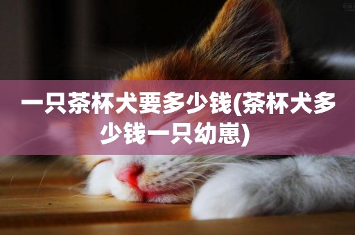一只茶杯犬要多少錢(茶杯犬多少錢一只幼崽) 