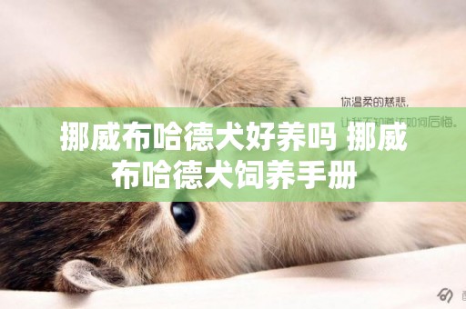 挪威布哈德犬好養嗎 挪威布哈德犬飼養手冊