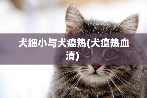 犬細小與犬瘟熱(犬瘟熱血清) 