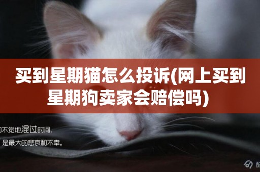 買到星期貓怎么投訴(網上買到星期狗賣家會賠償嗎) 