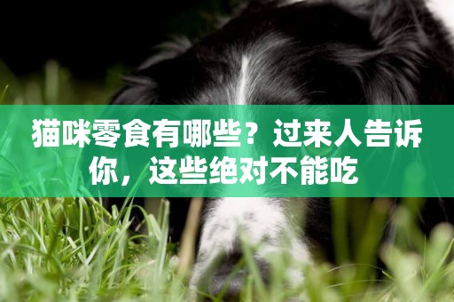貓咪零食有哪些？過來人告訴你，這些絕對不能吃 