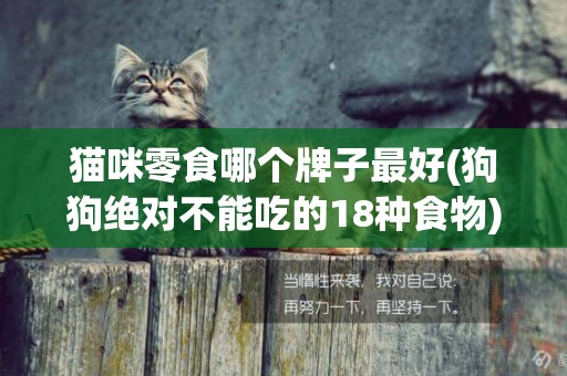 貓咪零食哪個牌子最好(狗狗絕對不能吃的18種食物) 