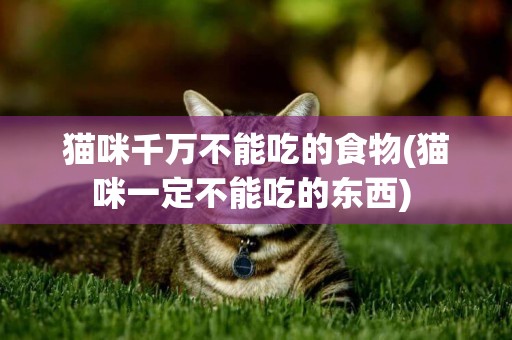 貓咪千萬不能吃的食物(貓咪一定不能吃的東西) 