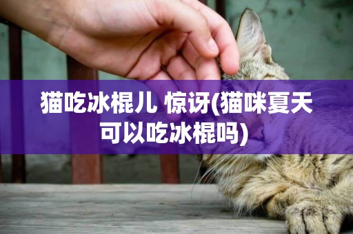 貓吃冰棍兒 驚訝(貓咪夏天可以吃冰棍嗎) 