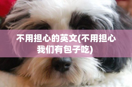不用擔心的英文(不用擔心我們有包子吃) 