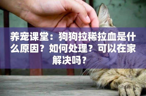 養寵課堂：狗狗拉稀拉血是什么原因？如何處理？可以在家解決嗎？ 