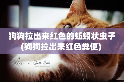 狗狗拉出來紅色的蚯蚓狀蟲子(狗狗拉出來紅色糞便) 