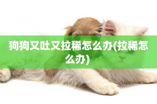 狗狗又吐又拉稀怎么辦(拉稀怎么辦) 