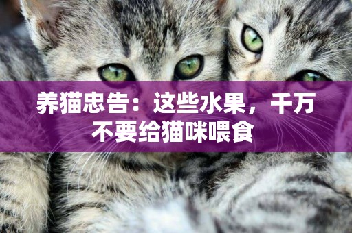 養貓忠告：這些水果，千萬不要給貓咪喂食 