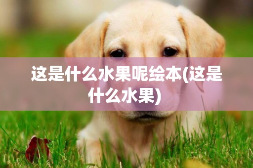 這是什么水果呢繪本(這是什么水果) 