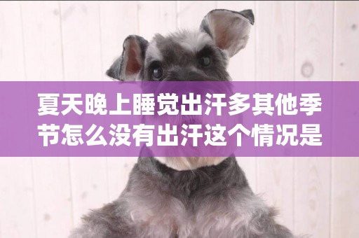 夏天晚上睡覺出汗多其他季節怎么沒有出汗這個情況是盜汗(貓咪能吃水果嗎) 