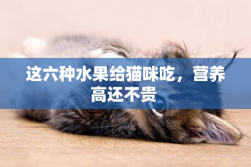 這六種水果給貓咪吃，營養高還不貴 
