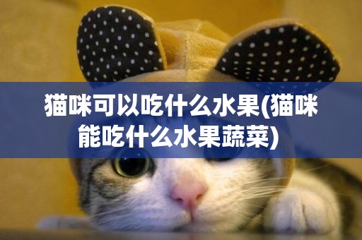 貓咪可以吃什么水果(貓咪能吃什么水果蔬菜) 