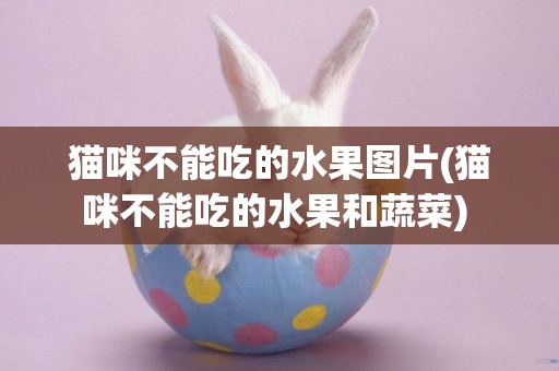 貓咪不能吃的水果圖片(貓咪不能吃的水果和蔬菜) 