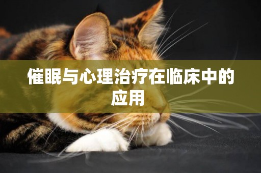催眠與心理治療在臨床中的應用 