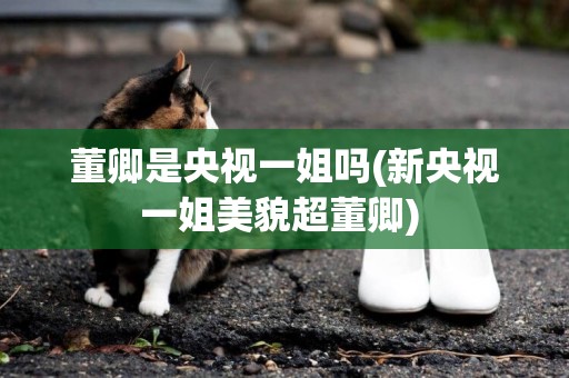 董卿是央視一姐嗎(新央視一姐美貌超董卿) 