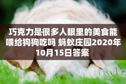 巧克力是很多人眼里的美食能喂給狗狗吃嗎 螞蟻莊園2020年10月15日答案 