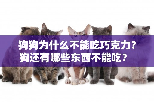 狗狗為什么不能吃巧克力？狗還有哪些東西不能吃？ 