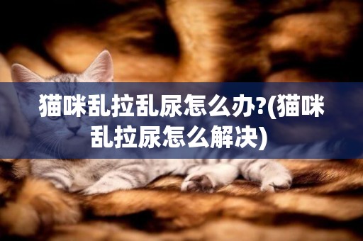 貓咪亂拉亂尿怎么辦?(貓咪亂拉尿怎么解決) 