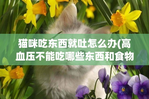 貓咪吃東西就吐怎么辦(高血壓不能吃哪些東西和食物) 