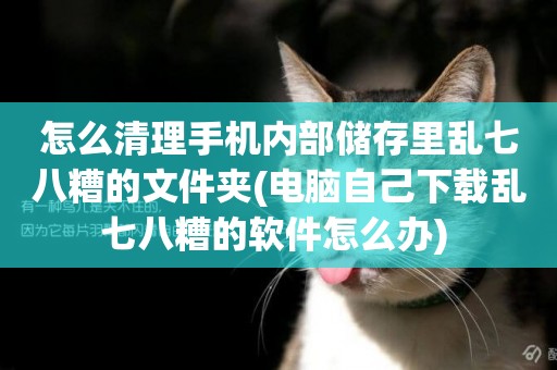 怎么清理手機內部儲存里亂七八糟的文件夾(電腦自己下載亂七八糟的軟件怎么辦) 