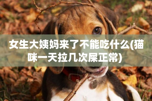 女生大姨媽來了不能吃什么(貓咪一天拉幾次屎正常) 