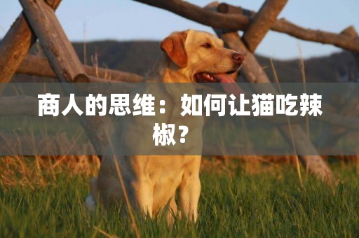 商人的思維：如何讓貓吃辣椒？ 