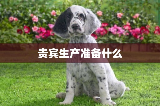 貴賓生產準備什么