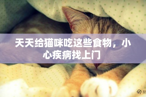 天天給貓咪吃這些食物，小心疾病找上門 
