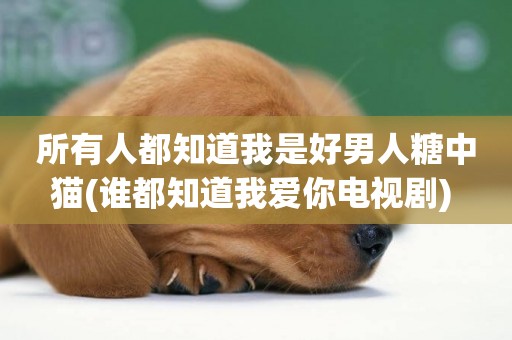 所有人都知道我是好男人糖中貓(誰都知道我愛你電視劇) 