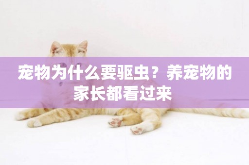 寵物為什么要驅蟲？養寵物的家長都看過來 