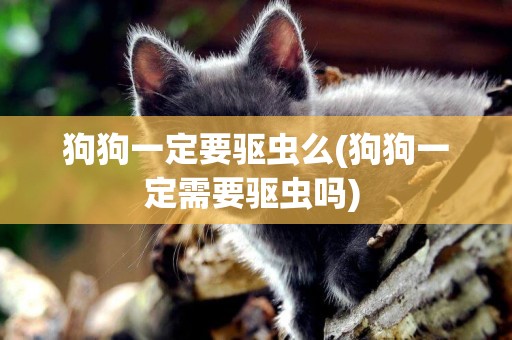 狗狗一定要驅蟲么(狗狗一定需要驅蟲嗎) 
