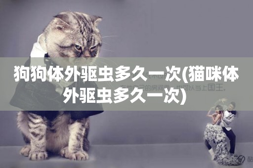 狗狗體外驅蟲多久一次(貓咪體外驅蟲多久一次) 