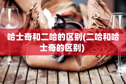 哈士奇和二哈的區別(二哈和哈士奇的區別) 