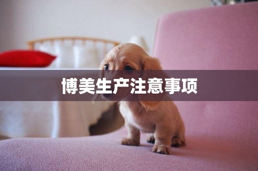 博美生產注意事項