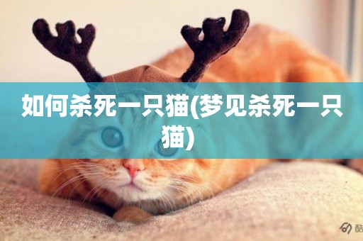 如何殺死一只貓(夢見殺死一只貓) 