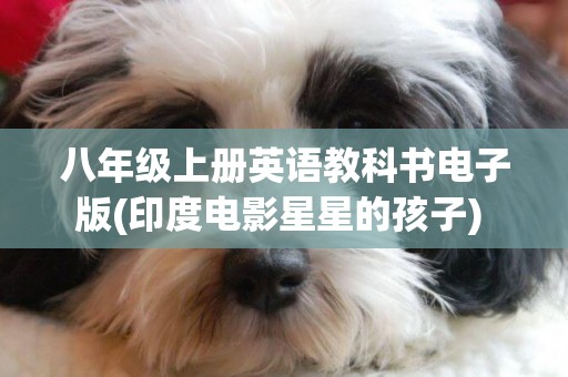 八年級上冊英語教科書電子版(印度電影星星的孩子) 