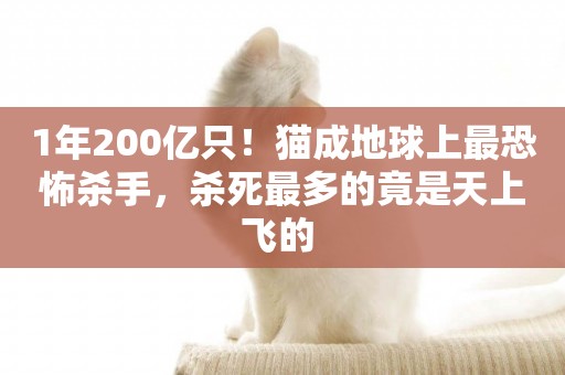 1年200億只！貓成地球上最恐怖殺手，殺死最多的竟是天上飛的 