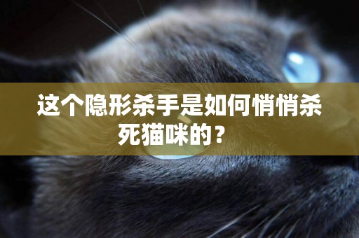 這個隱形殺手是如何悄悄殺死貓咪的？ 