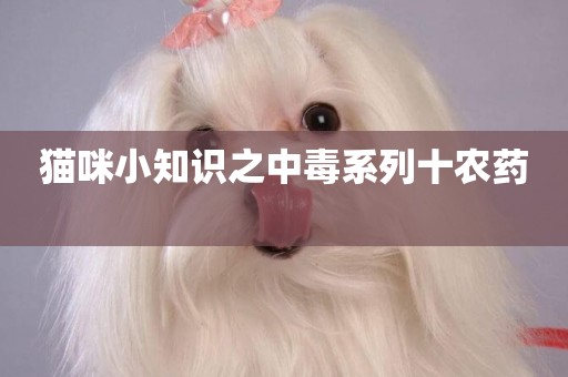 貓咪小知識之中毒系列十農藥 