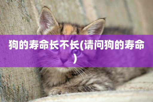 狗的壽命長不長(請問狗的壽命) 