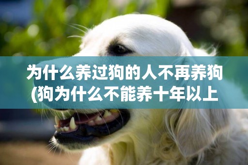 為什么養過狗的人不再養狗(狗為什么不能養十年以上) 