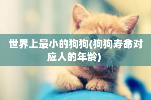 世界上最小的狗狗(狗狗壽命對應人的年齡) 