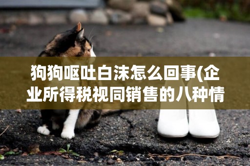 狗狗嘔吐白沫怎么回事(企業所得稅視同銷售的八種情況) 