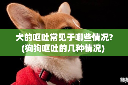 犬的嘔吐常見于哪些情況?(狗狗嘔吐的幾種情況) 