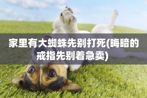 家里有大蜘蛛先別打死(晦暗的戒指先別著急賣) 