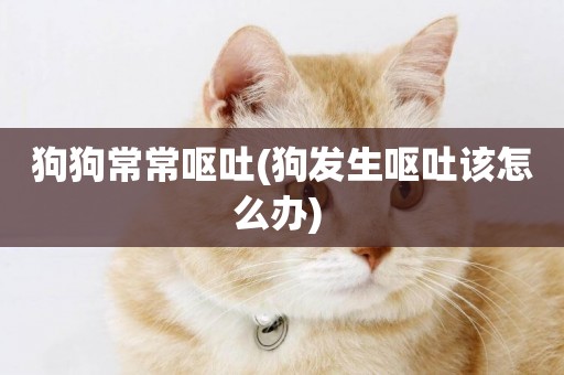 狗狗常常嘔吐(狗發生嘔吐該怎么辦) 